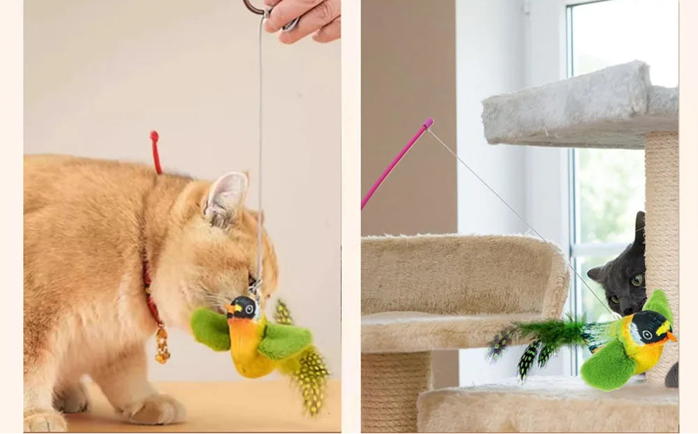 Interaktives Vogel Katzenspielzeug mit Sound – Plüschspielzeug mit realistischem Vogelgesang