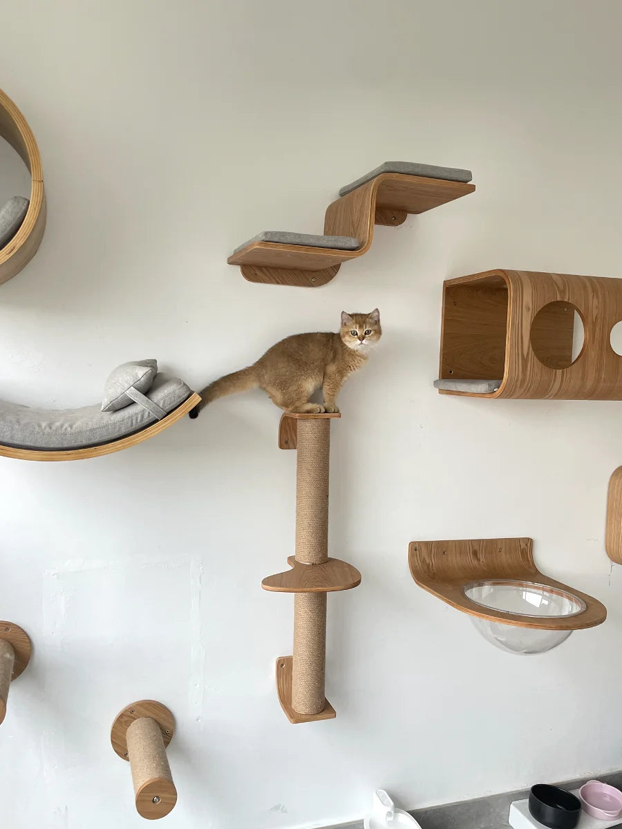 Individuelle Kletterwand Katzen Kletterregale aus Holz – Vertikaler Spielplatz mit Sisal & Hängematte