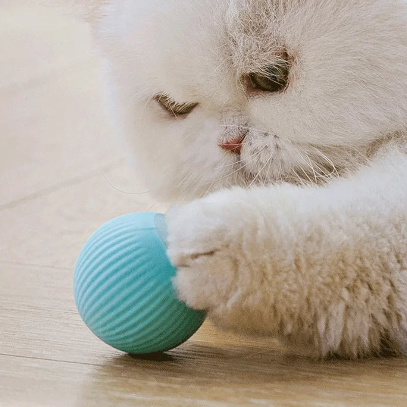 Interaktiver Smart Katzenball – Automatisches Spielzeug für aktive Katzen