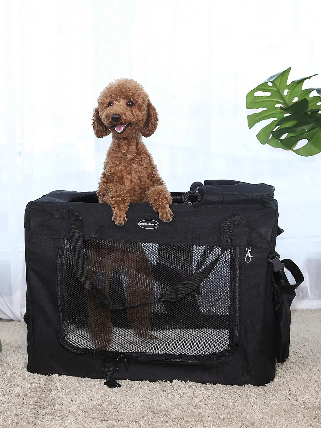 FEANDREA Faltbare Hundebox – Leichte Transportbox & Ruheplatz für Hunde (60 × 42 × 42 cm)